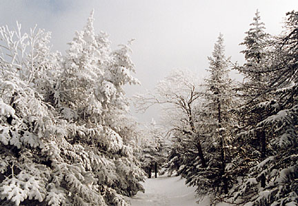 54franconia