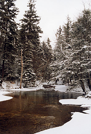 43franconia