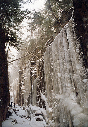 032franconia