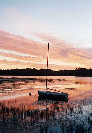 41sailboat