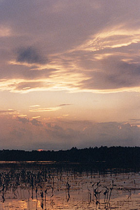 31sky
