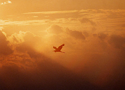 34sky