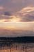 31sky