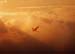 34sky