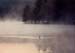 29water
