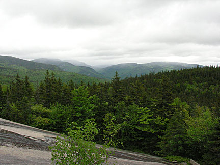 11baldface