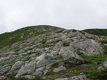 19baldface