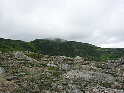 20baldface