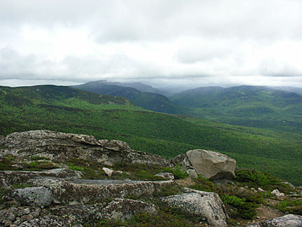 21baldface