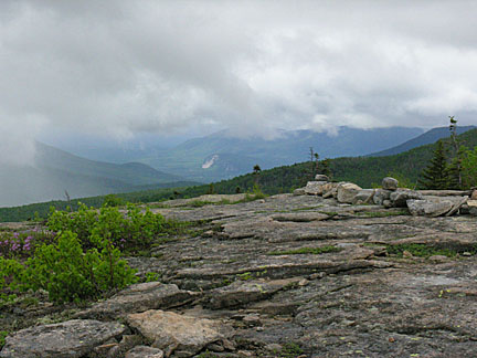 25baldface