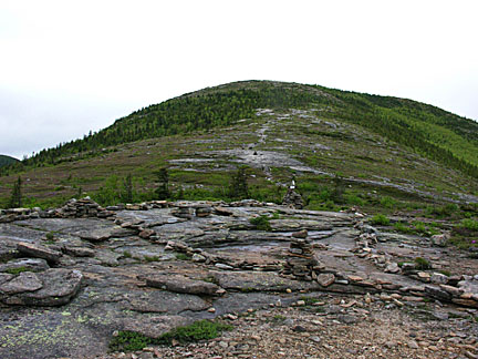26baldface