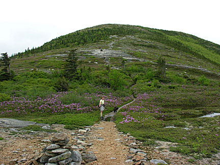 28baldface