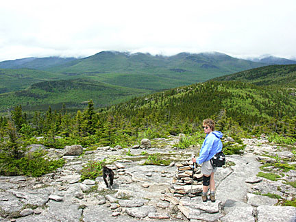 33baldface