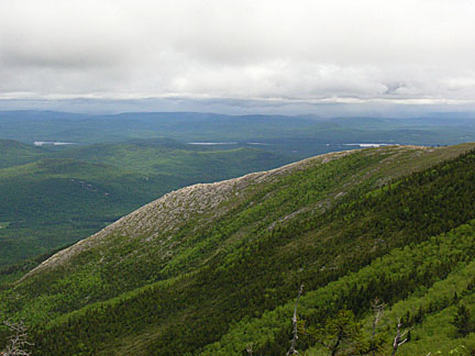 35baldface