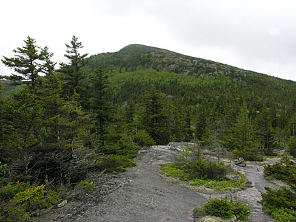 41baldface