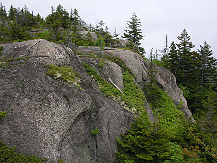 43baldface