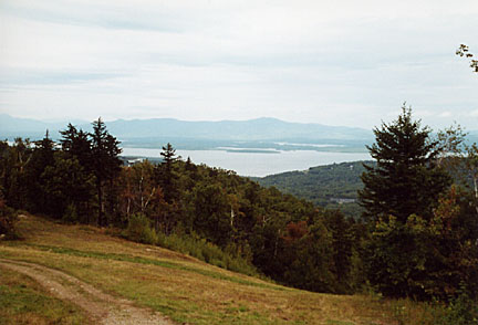 01gunstock