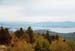 03gunstock