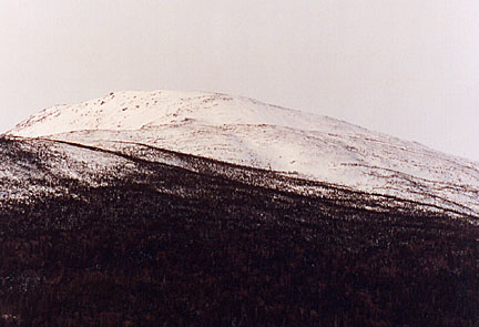 03lowesbaldspot