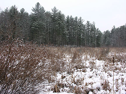 07pawtuckaway1706