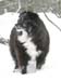 01pawtuckaway1706