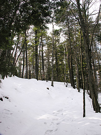 03pawtuckaway3407