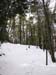 03pawtuckaway3407