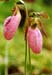 06pawtuckaway6803