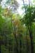 02pawtuckaway92506