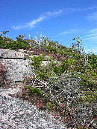 31percypeaks10207