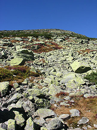 08alpinegarden10505
