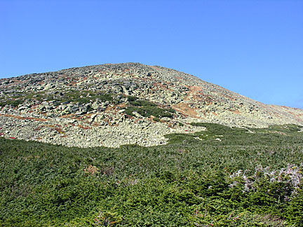 09alpinegarden10505