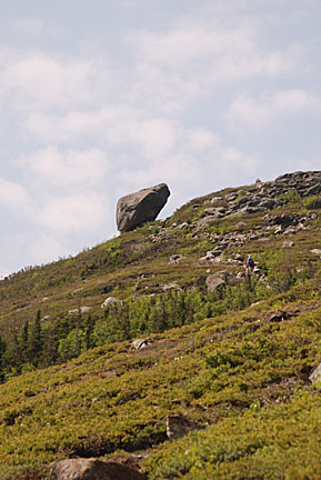 09boottspur61408