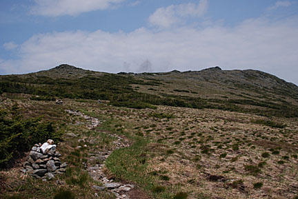22boottspur61408