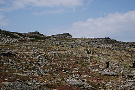 25boottspur61408