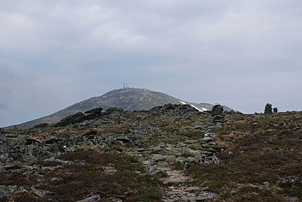 29boottspur61408