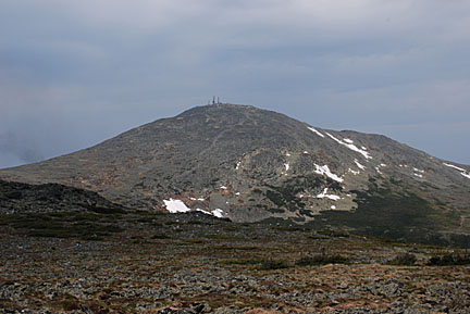 31boottspur61408