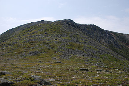 39boottspur61408