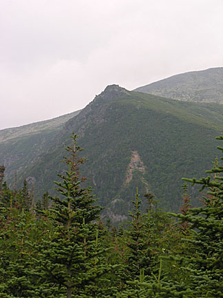 11boottspur72807