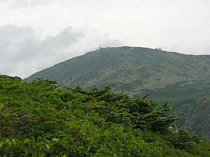19boottspur72807