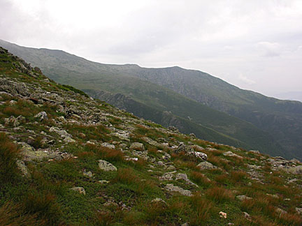 28boottspur72807