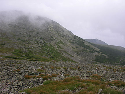 38boottspur72807