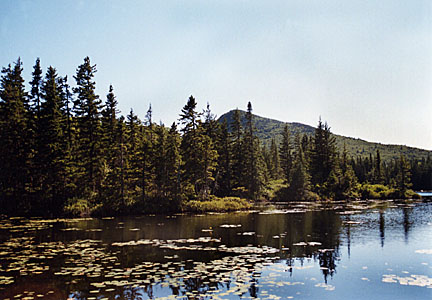 12cabot