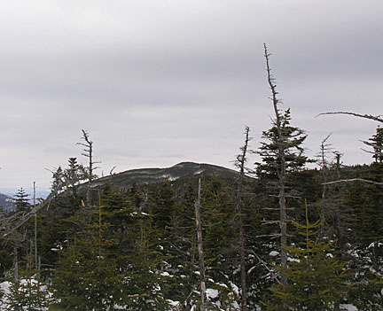 39avfieldwilley31307