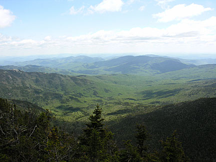 20impcarters5282907