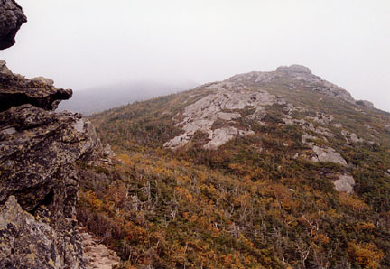 05capridg2