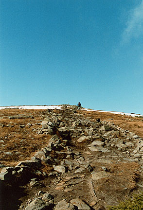 06moosilaukee