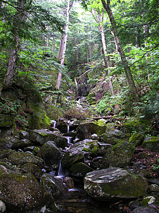 05nelsoncrag