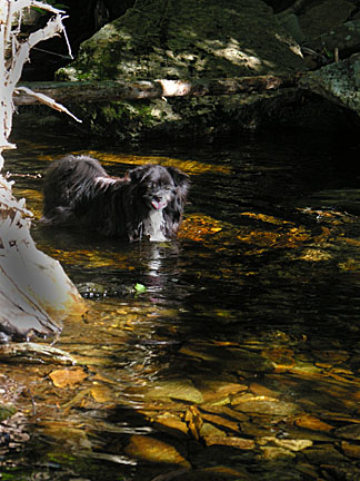 09nelsoncrag