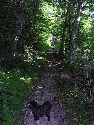 10nelsoncrag